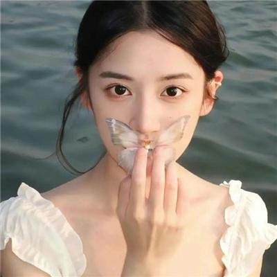 北极故事